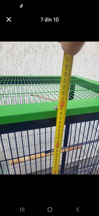 Colivie pentru papagali