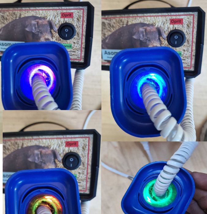 Asomatoar electric Porci Animale Nou fara limita KG! Transport ORIUNDE