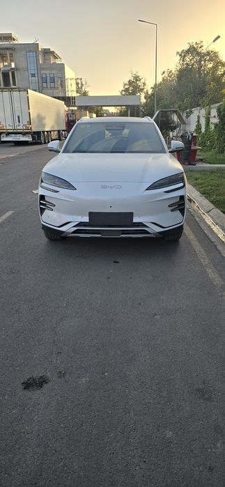 Byd champion smart 2025 yil rangi oq