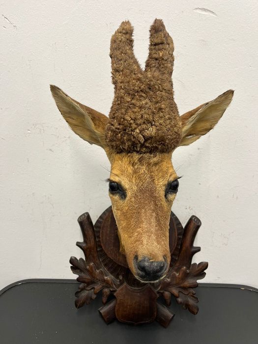 Трофей от сръндак