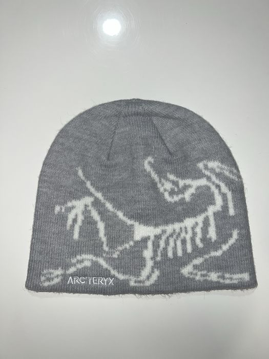 Зимни шапки Arcteryx