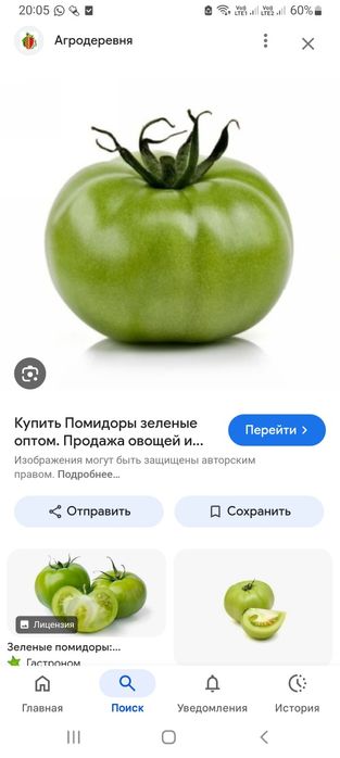 Продам зеленые помидоры