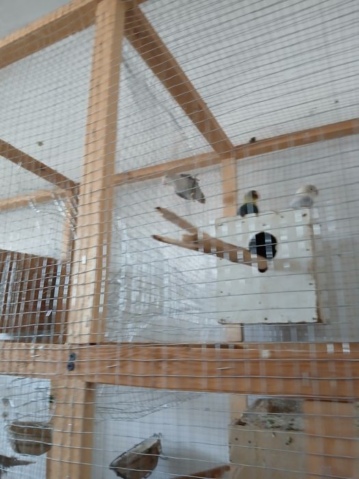 Neeazluchka soriladi 2 parayu 1 ta aloxida 400 ming parasi