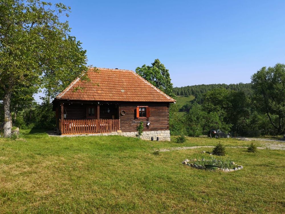 Casa traditionala de lemn, teren 1 ha, com. Bratca, jud. Bihor