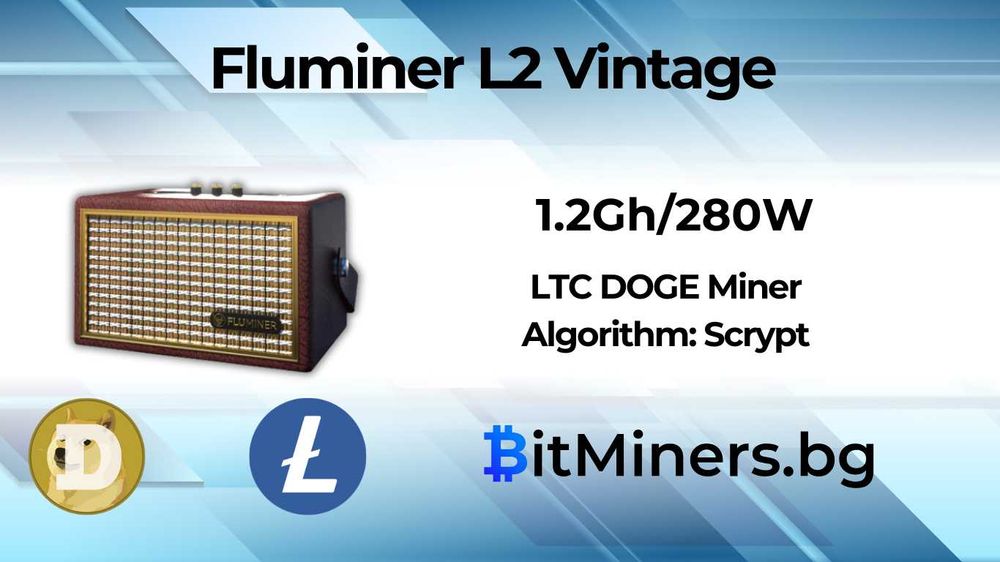 Fluminer L2 Vintage – 1.2Gh/s 280W, LTC DOGE майнър