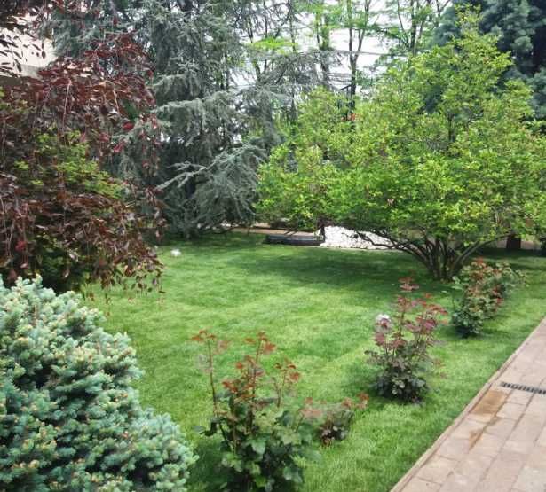 Gazon Rulou Transport montaj