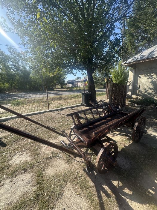 Caruta estetica (de frumusete)