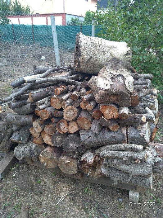 Lemne Foc la jumatate de pret Constanta
