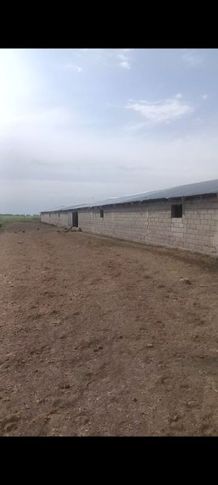 Дом с землёй 208 га