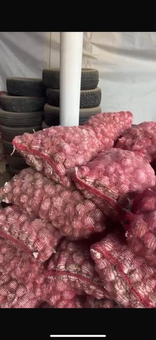 Средний чеснок 1.5 тонны