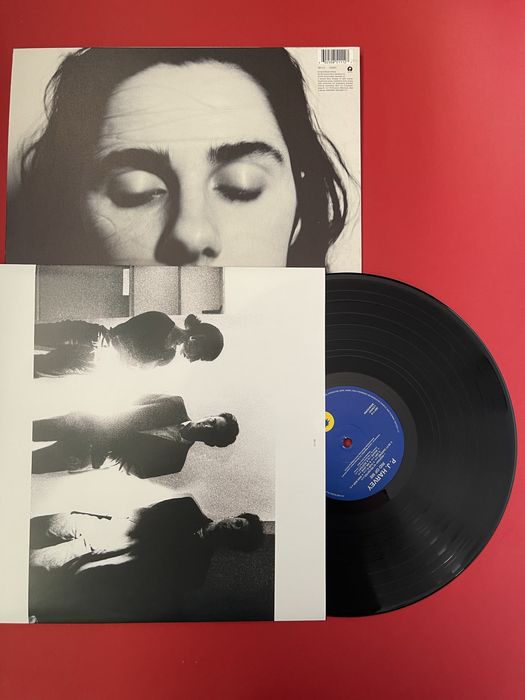 Грамофонна плоча PJ HARVEY - Rid of me