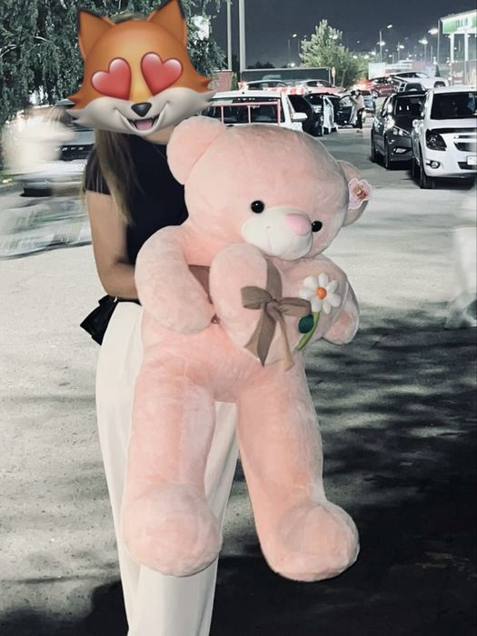 мишка 90-100 новый