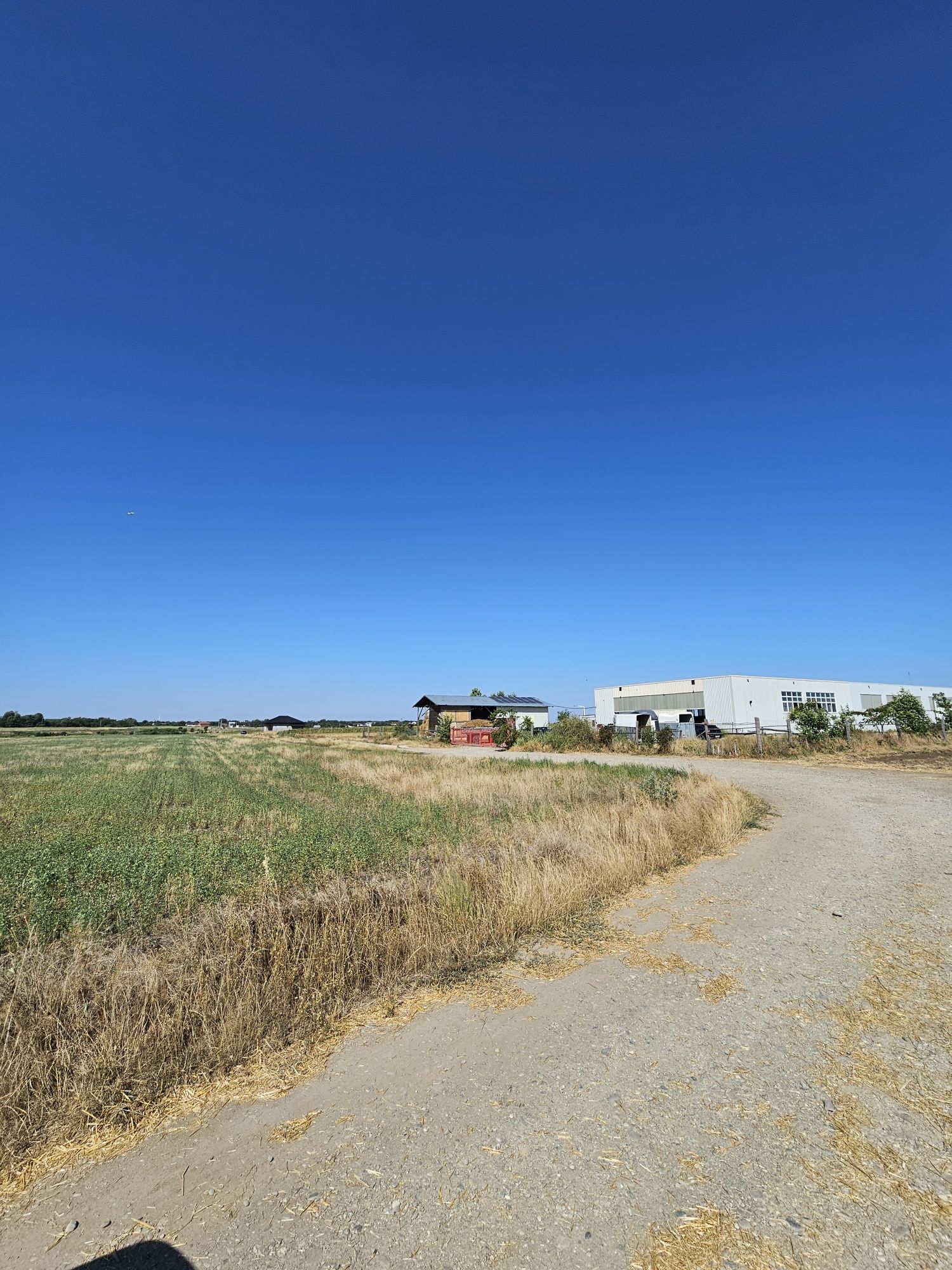 Teren intravilan DASCALU 15.900 MP