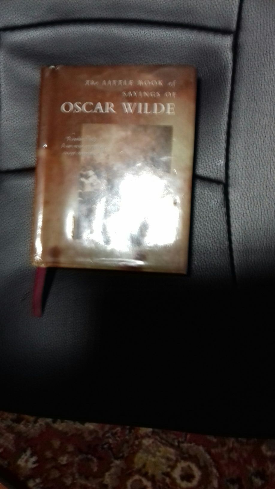 Little book of sayings Oscar Wilde