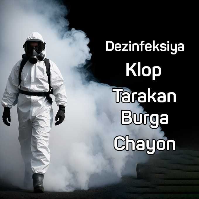 Dezinfeksiya Уничтожаем клопов тараканов на 100% с гарантией 9D