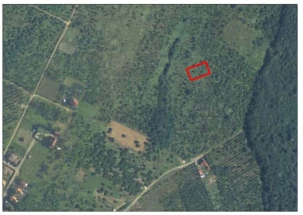 Teren Paleu 2x888 mp lângă pădure