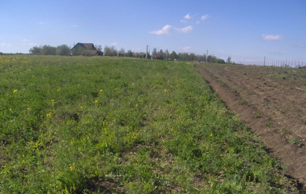 Teren vânzare intravilan REDIU-Horlești la Șoseaua strategică DJ 248 B