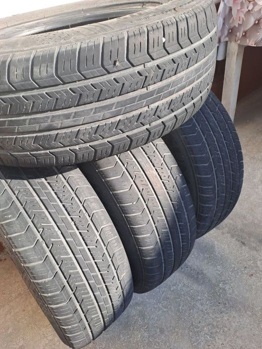 Кобилт шина хорош