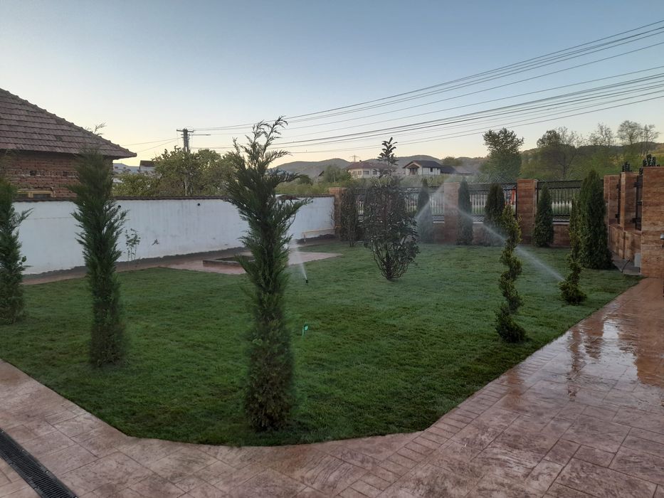 Tuia brazi mesteacăn tei salcie prunus