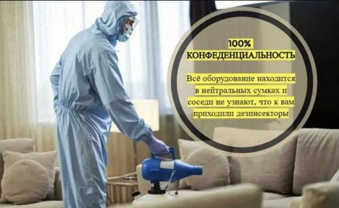 Чивин пашша илон кана клоп клапа чимоли ари сичкон каламуш Дезинфекция