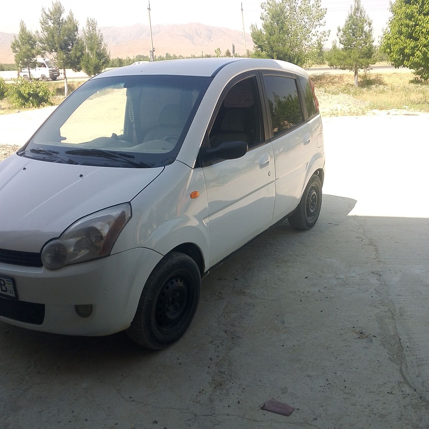 Shangan beni 2008