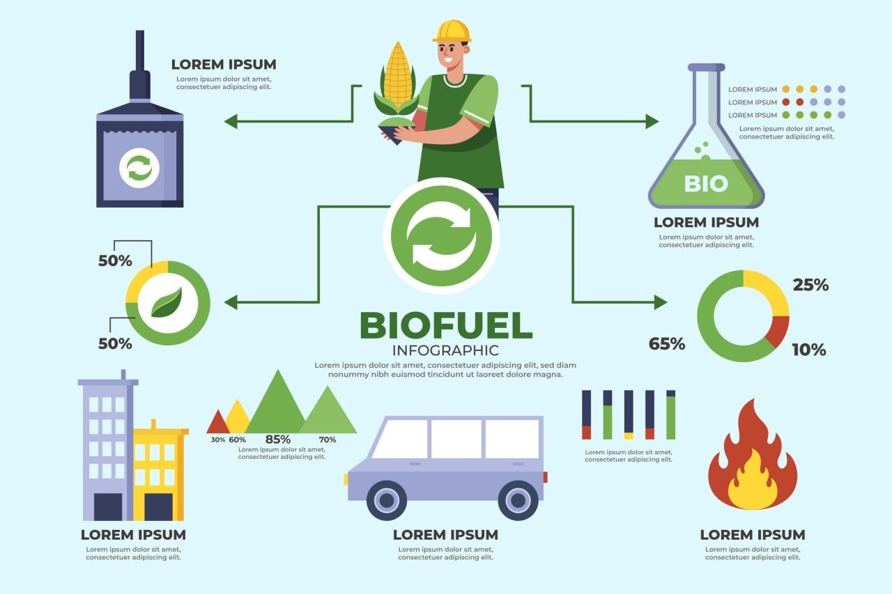 Infografika dizayn tayyorlab beramiz