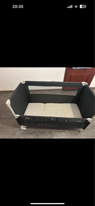 Patut Chipolino bebelus