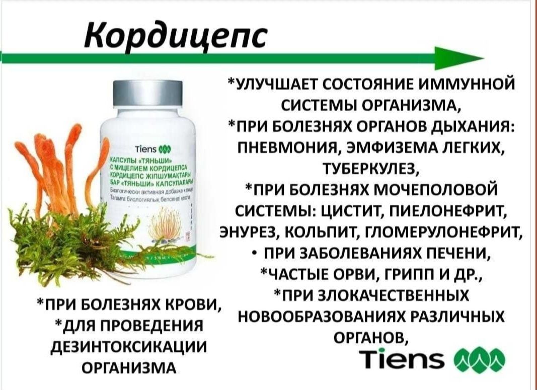 Кордицепс В наличии Тяньши