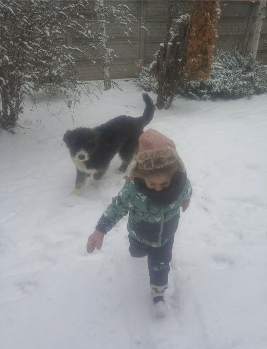 Ofer Ciobanesc crescut în casa