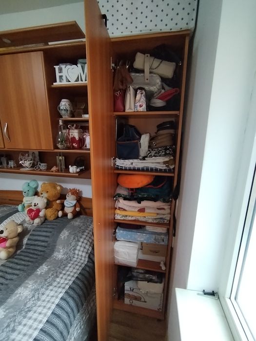 Vând cadru Lems cireș foarte bine întreținut.