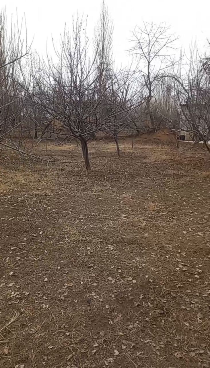 Янгибазар, земля 10,5 сот