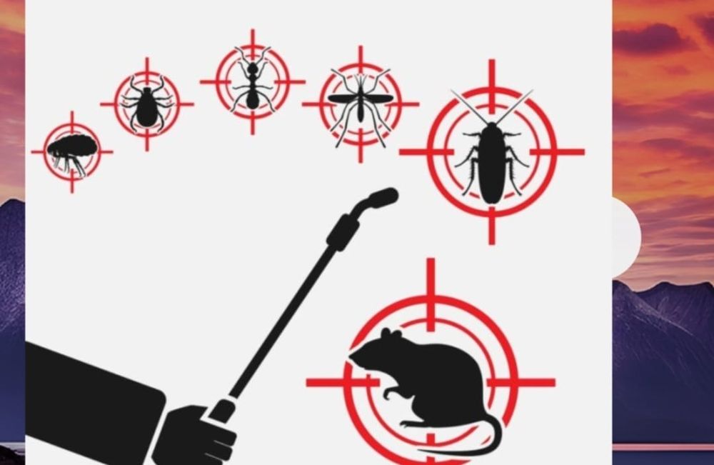 Dezinsecție, deratizare, dezinfecție.