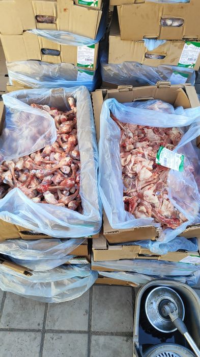 Кости  для  собак