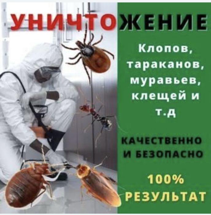 Дезинфекция г. Шымкент и регионы