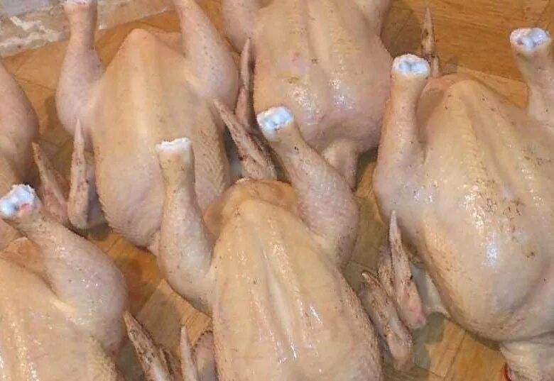 Продам и доставлю по Петропавловск домашних уток и гусей