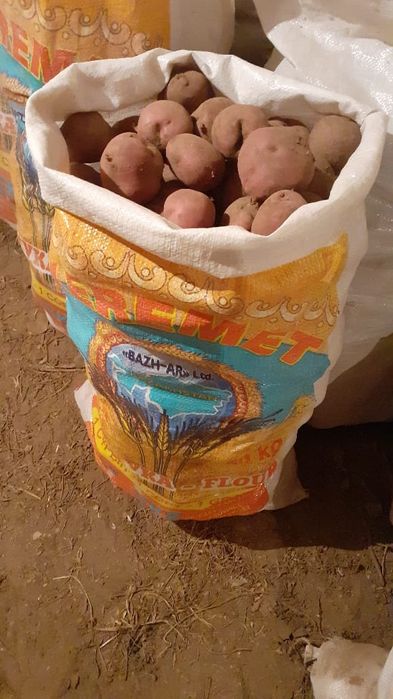 Продам домашнею картошку.