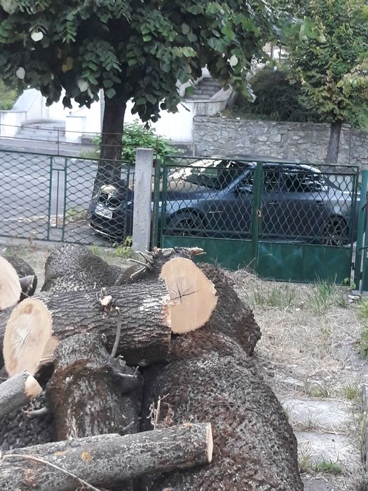 Lemne de foc, fag uscat, Pitesti