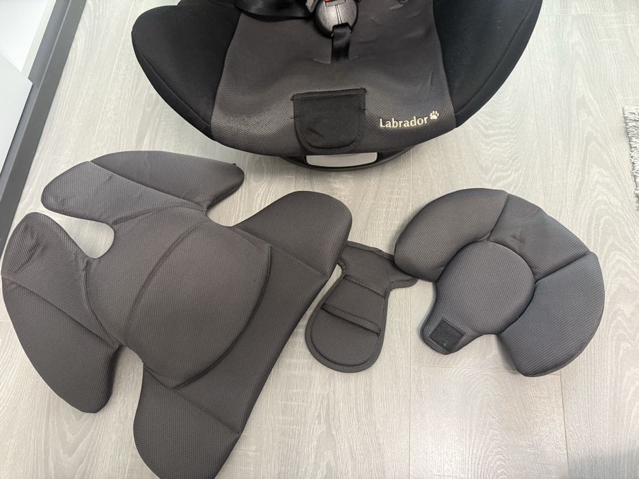 Scaun Auto BabySafe Labrador
