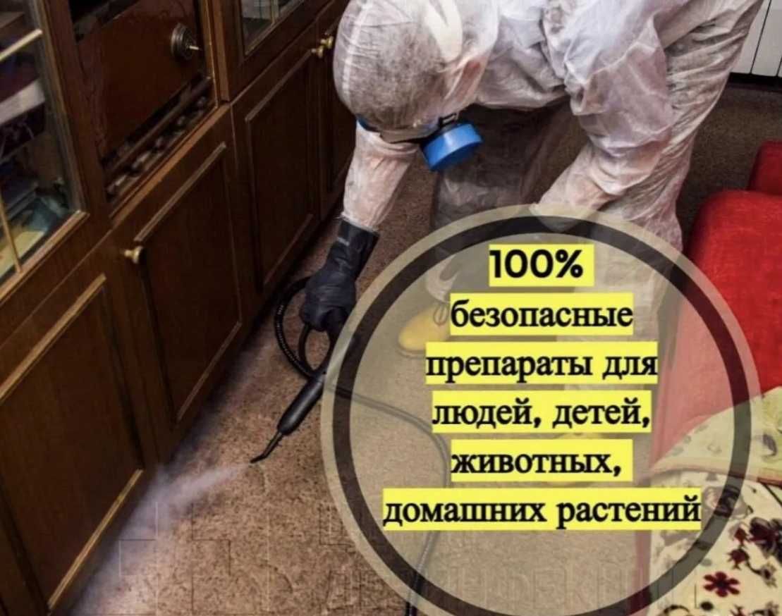 Дезинфекция 40% Dezinfeksiya klop tarkan ilon chayon мухи комары