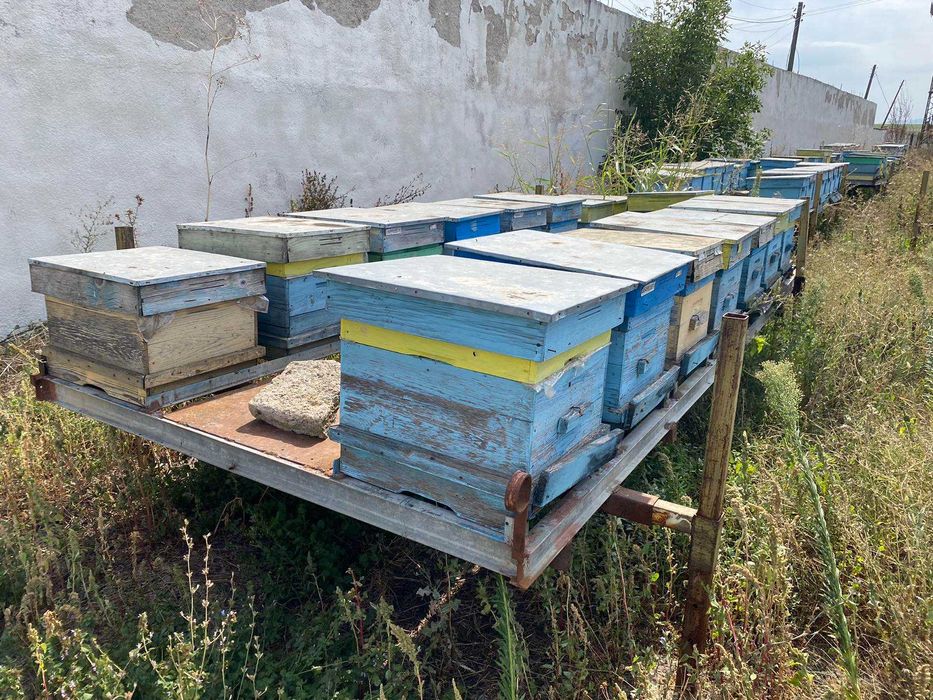 Пчеларски платформи за подвижно пчеларство