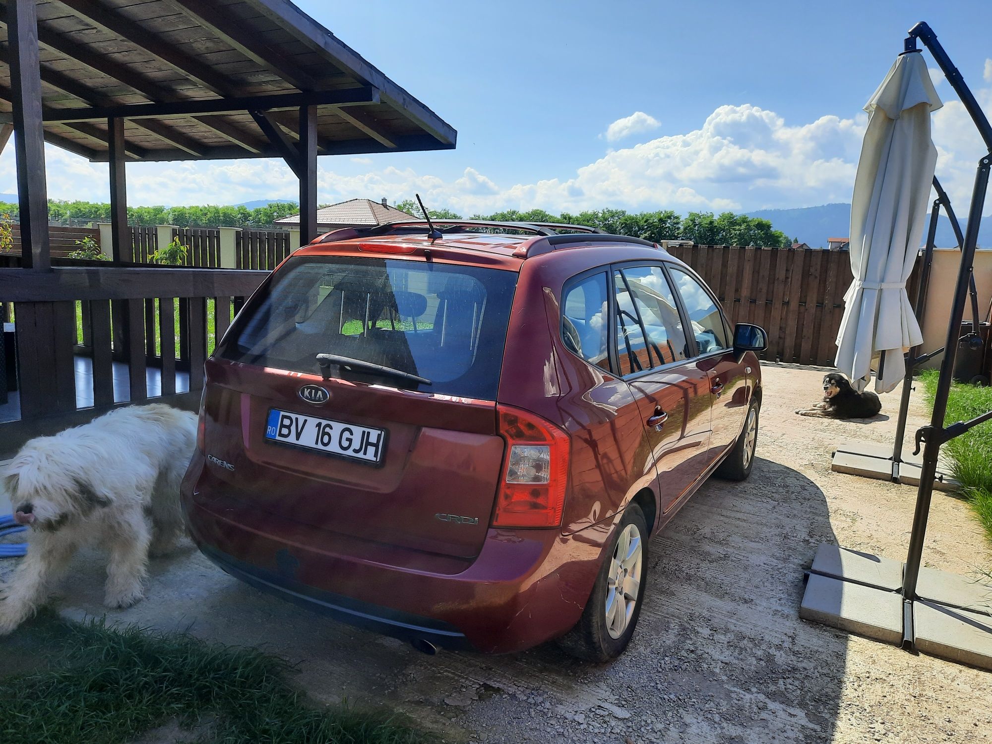 Vand Kia Carens 2009