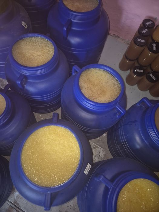 Vând miere de albine an 2025