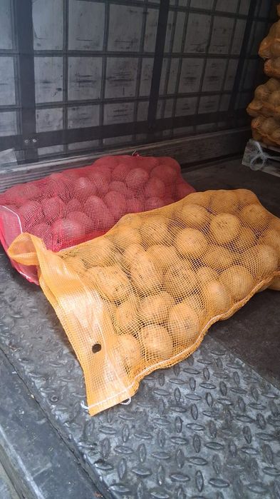 Cartof import Danemarca Polonia Germania