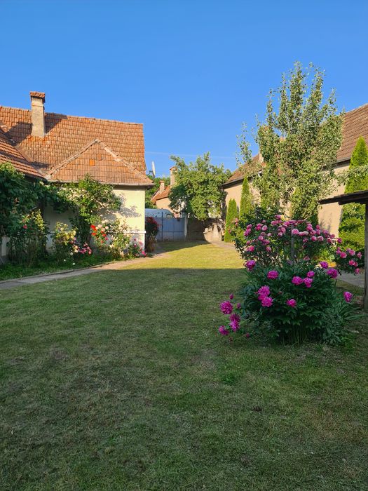 Vand casă zona centrala sat Berivoi !!!