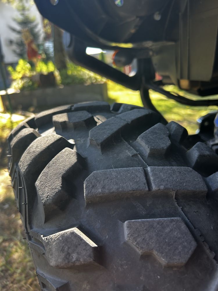 Yamaha Grizzly 660 Special Edition & Vertex