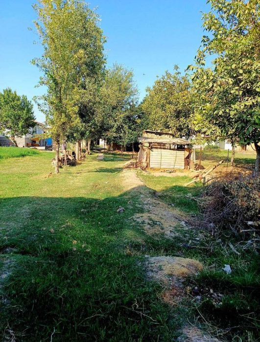 Toshkent vil, Nurafshon markazi, 7 sotix, 4
xonatoshxona+podval