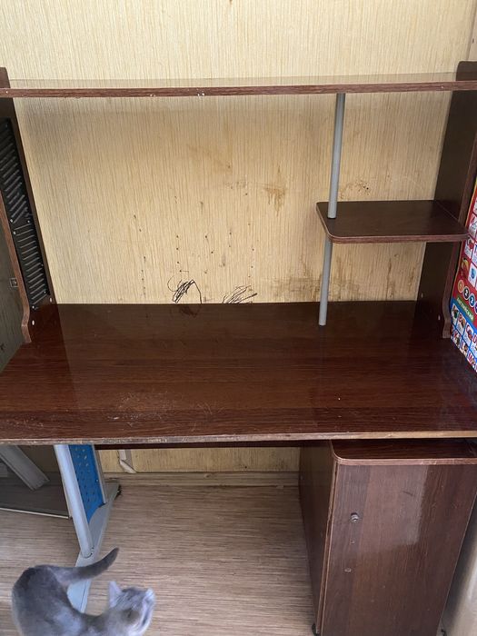 Компьютерный стол и шведская стенка