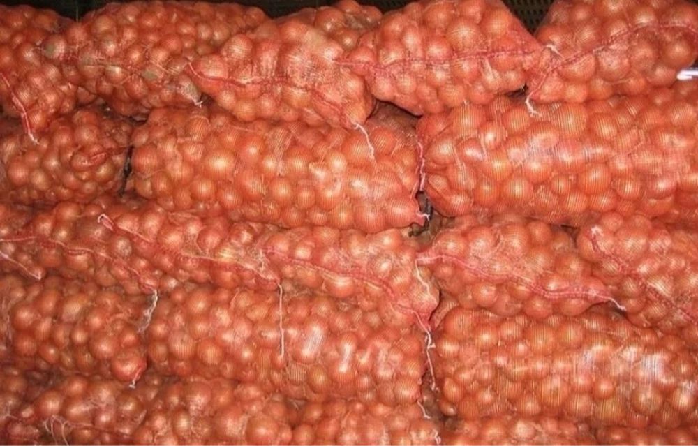 Лук оптом и в розницу