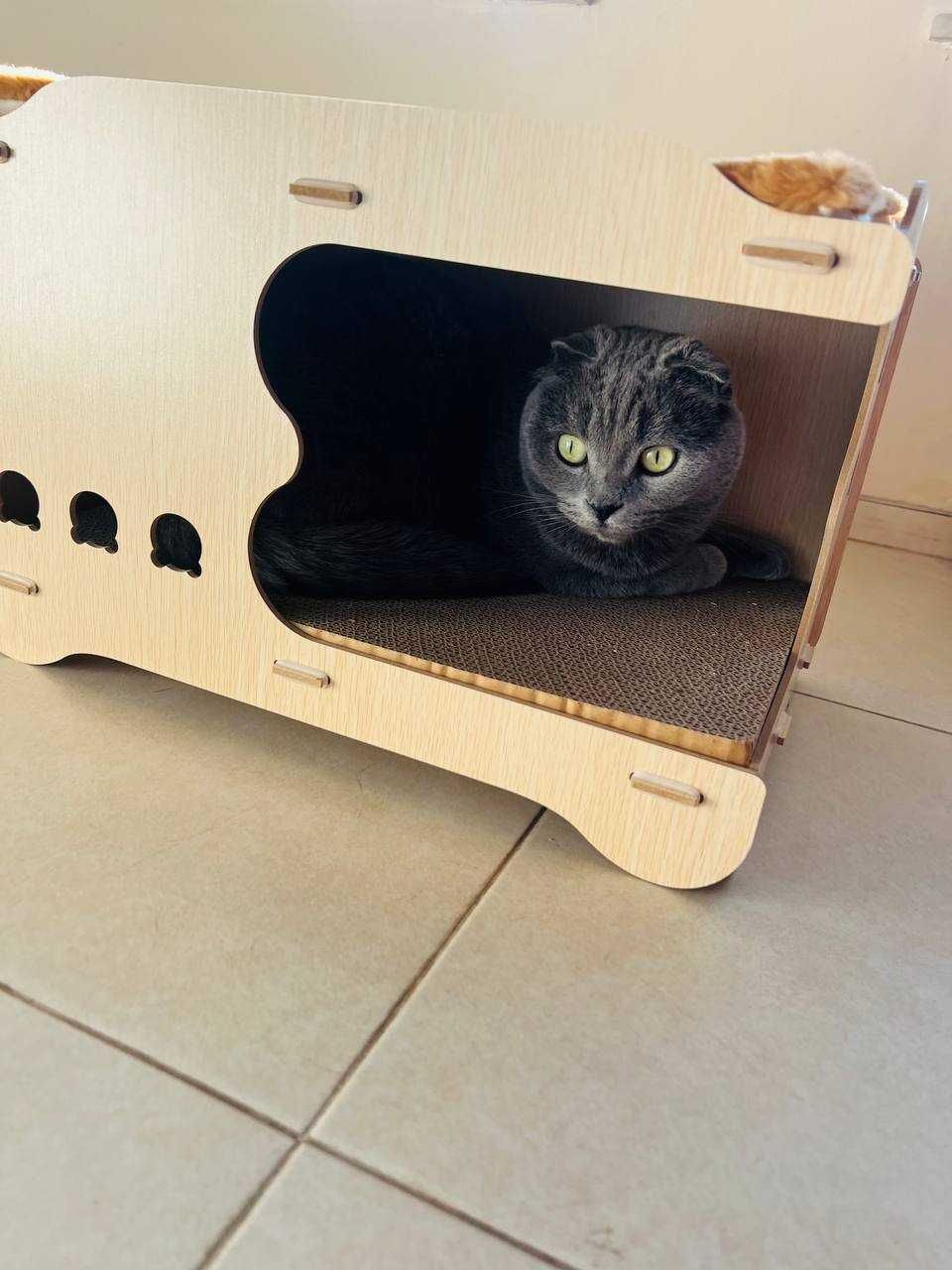 Невероятно удобна къща за котки.