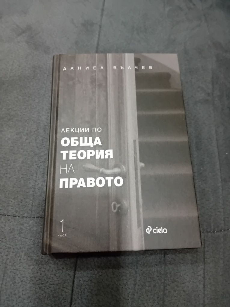 Обща теория на правото, Даниел Вълчев